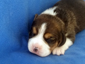 Martina Girl 1 Front 1 Week